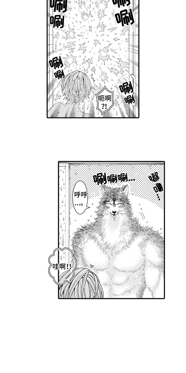 毛绒绒男友漫画,第21章：变得喜欢1图