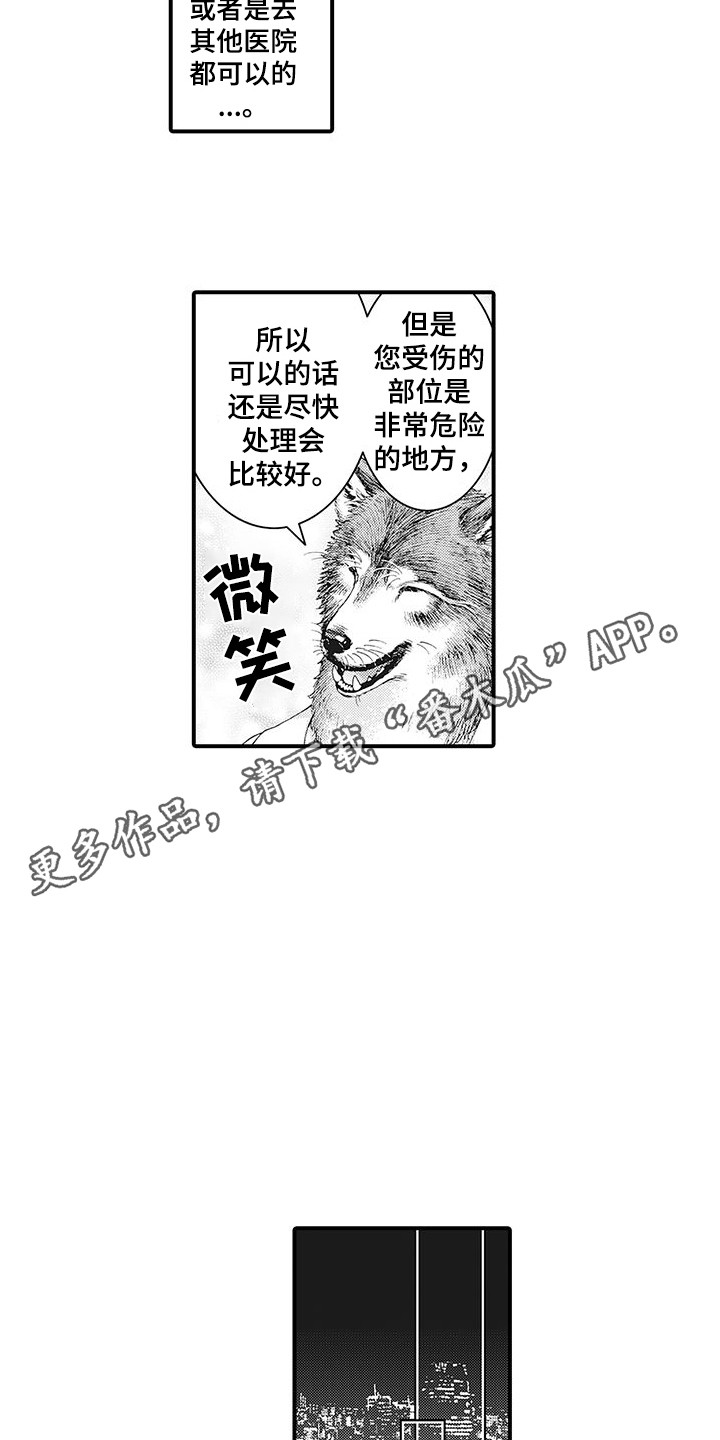 毛绒绒男友漫画,第4章：巧遇2图