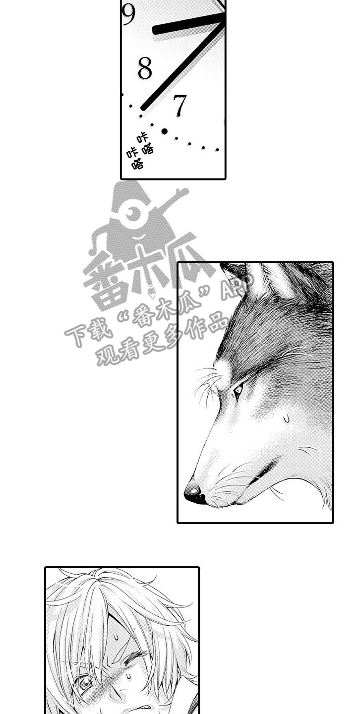 毛绒绒男友漫画,第8章：处理伤口2图