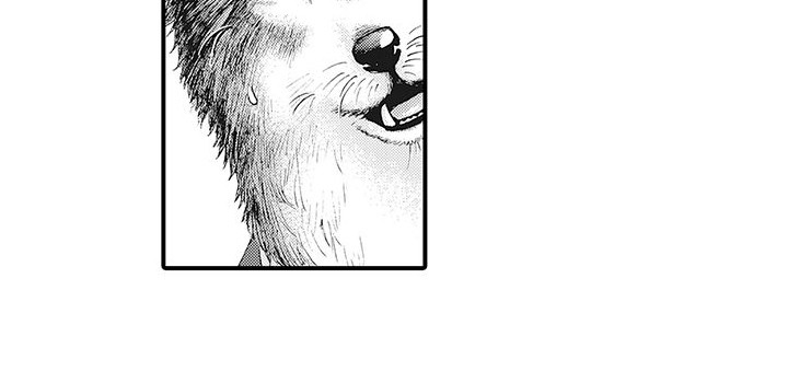 毛绒绒男友漫画,第1章：兽人1图