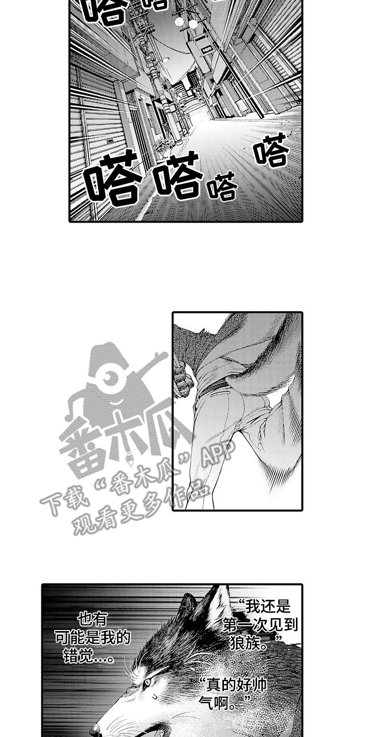 毛绒绒男友漫画,第10章：想通了2图