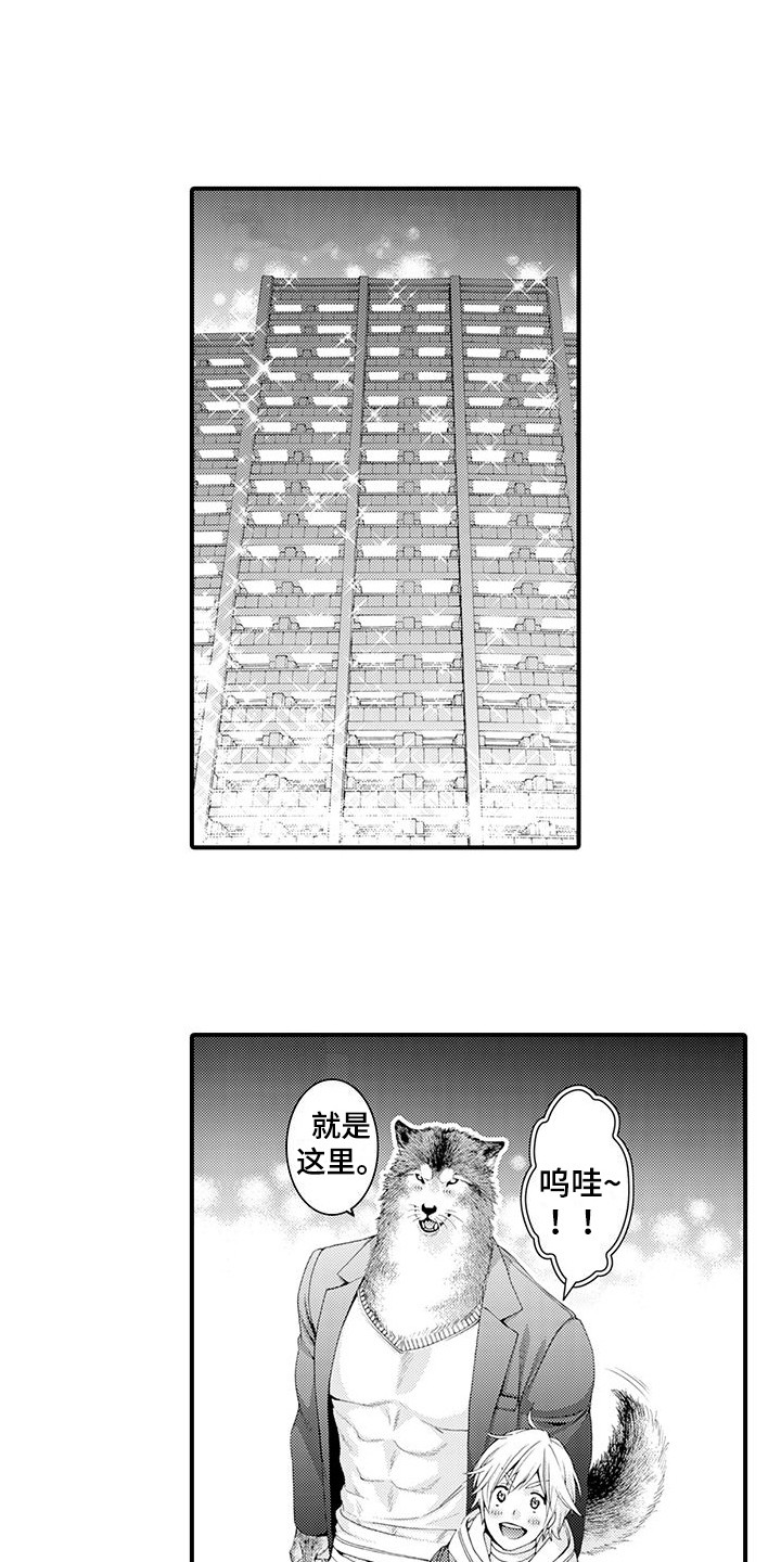 毛绒绒男友漫画,第18章：宽敞的房间1图