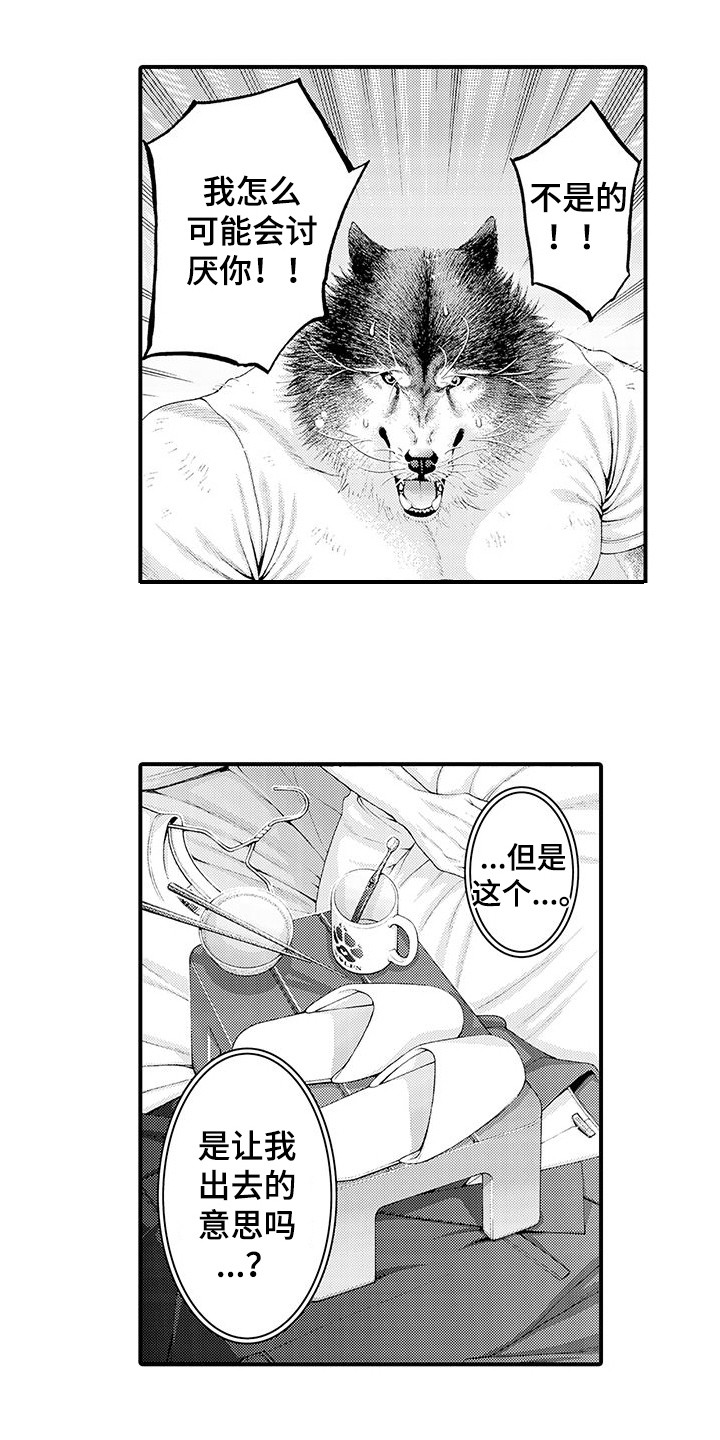 毛绒绒男友漫画,第29章：解释1图