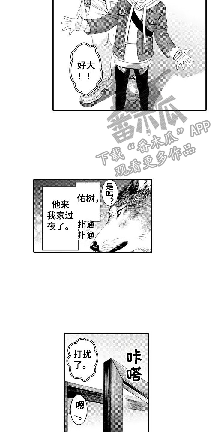 毛绒绒男友漫画,第18章：宽敞的房间2图