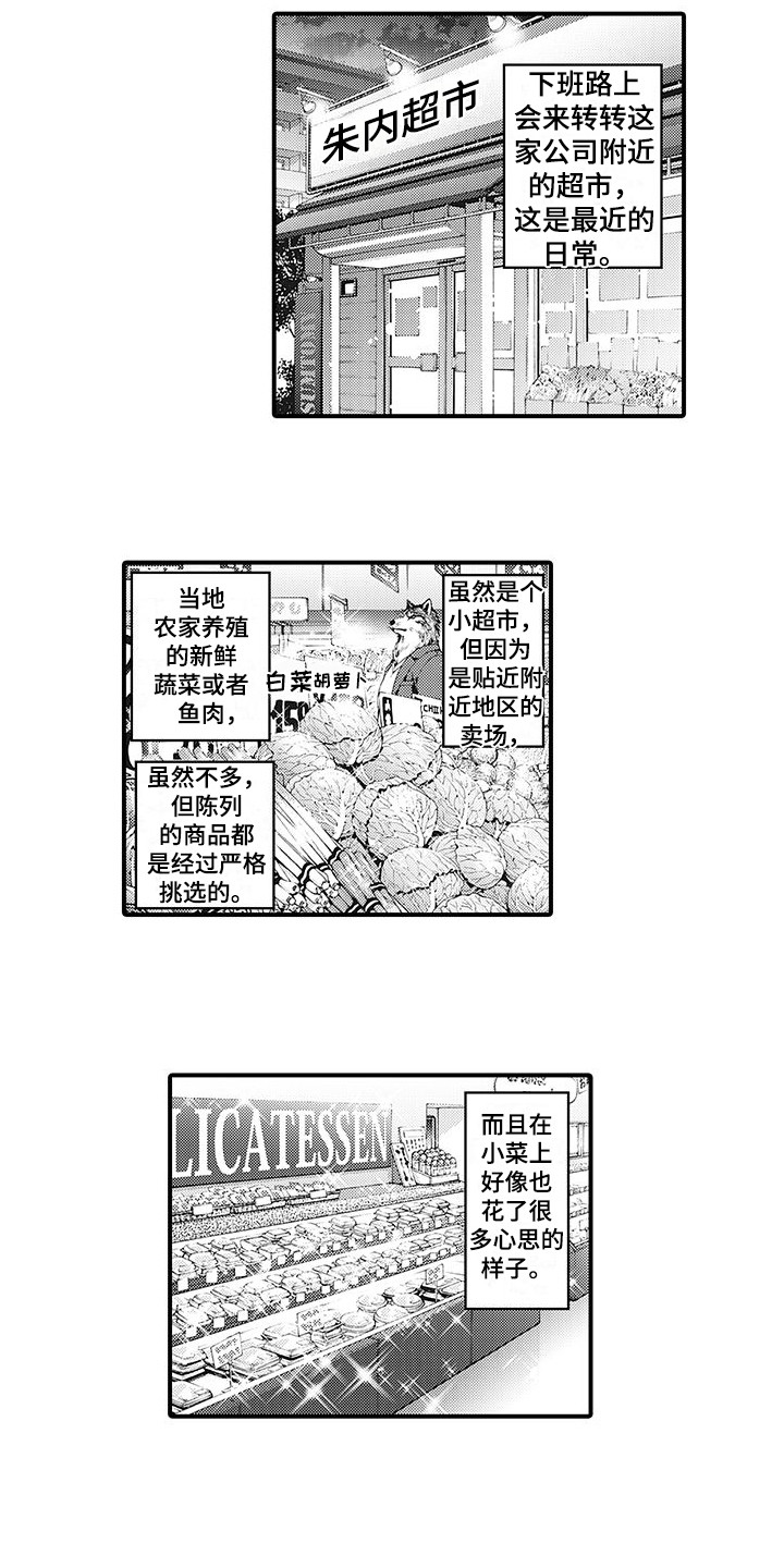 毛绒绒男友漫画,第1章：兽人1图
