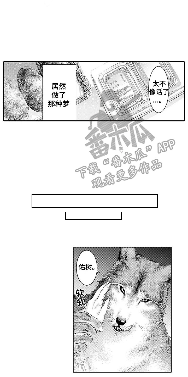 毛绒绒男友漫画,第6章：幻想2图