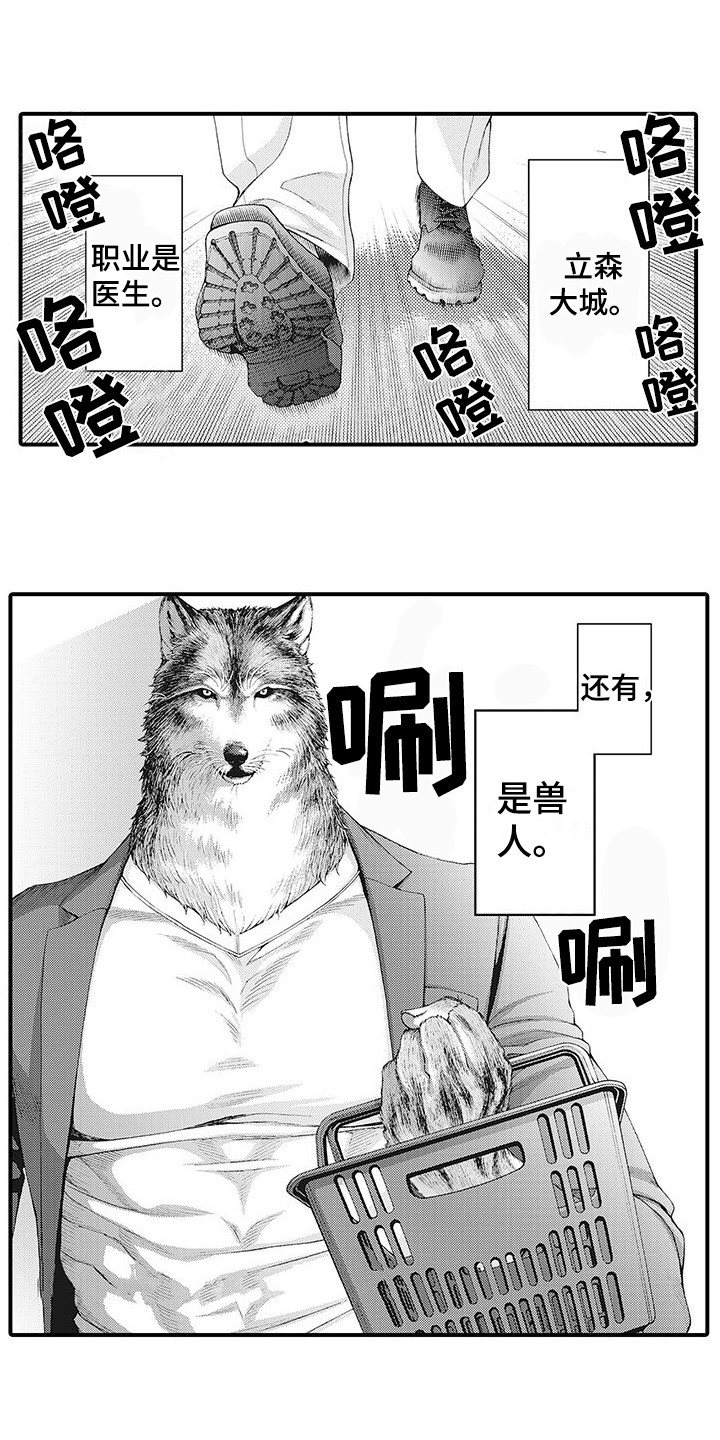 毛绒绒男友漫画,第1章：兽人1图