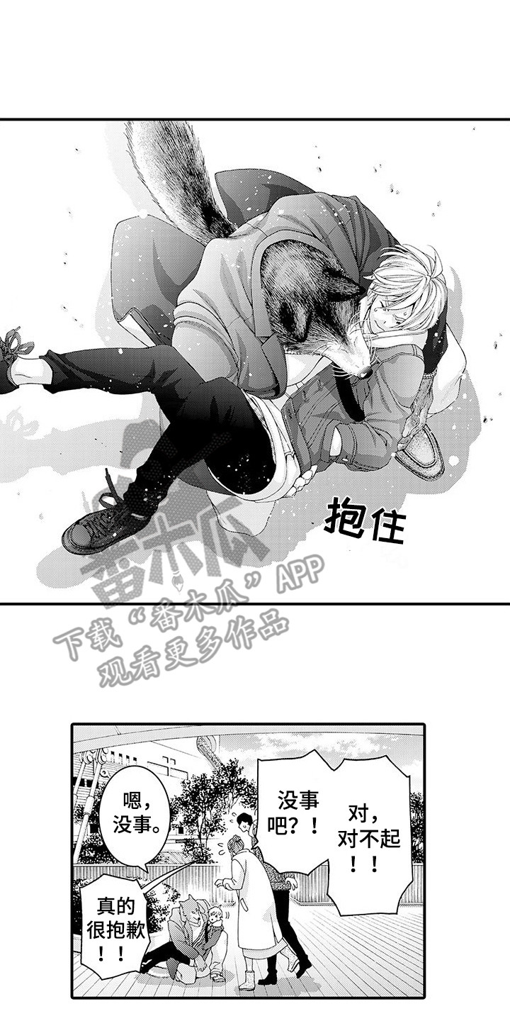 毛绒绒男友漫画,第13章：拥挤2图