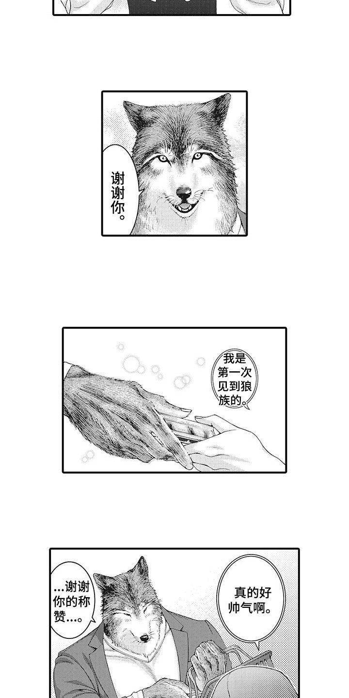 毛绒绒男友漫画,第2章：比比划划2图