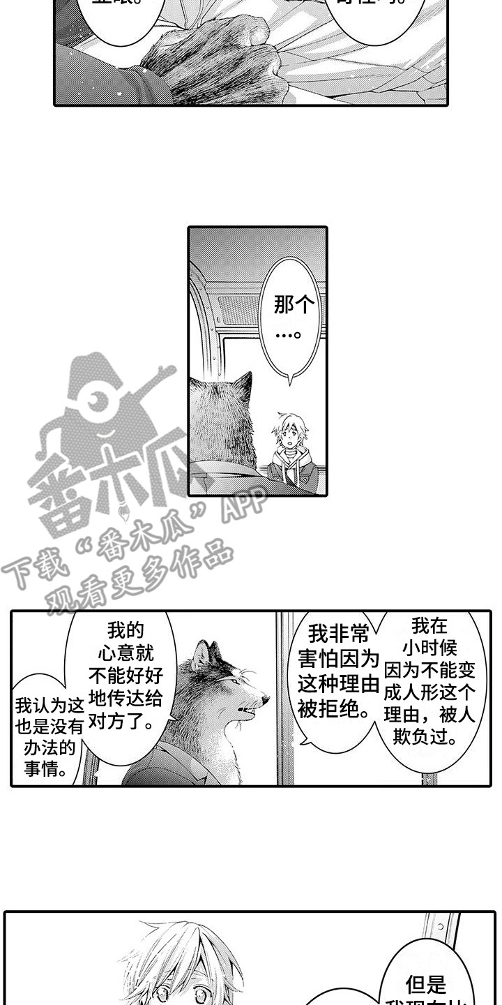 毛绒绒男友漫画,第15章：传达心意2图