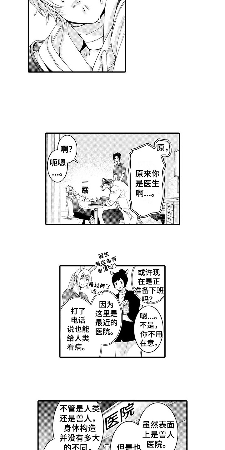 毛绒绒男友漫画,第8章：处理伤口1图