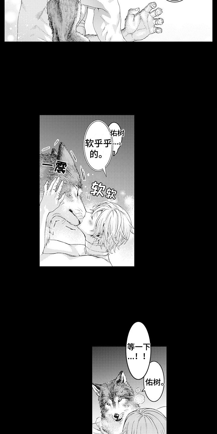 毛绒绒男友漫画,第6章：幻想1图
