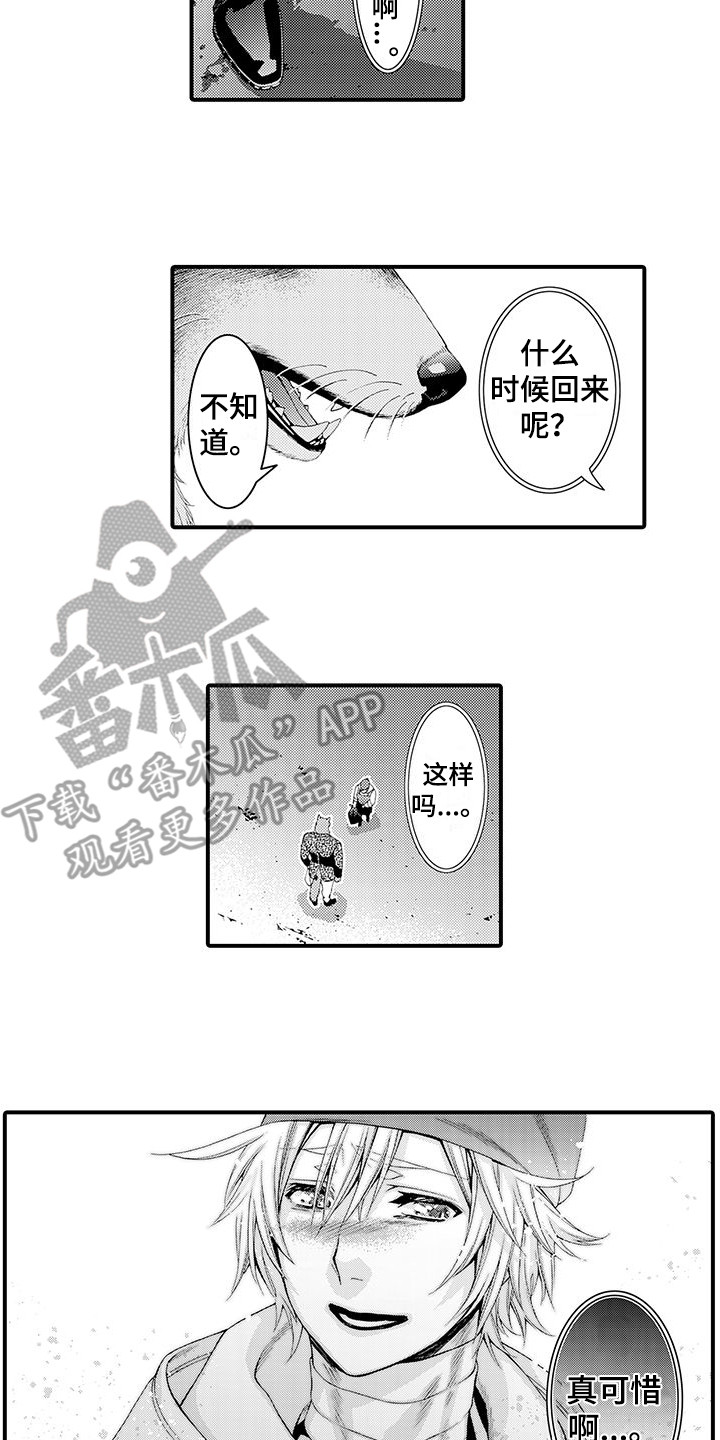 毛绒绒男友漫画,第11章：表白2图