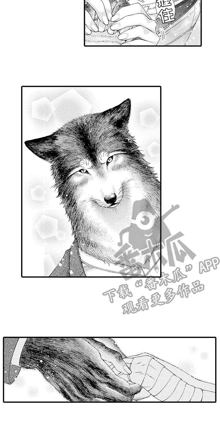 毛绒绒男友漫画,第11章：表白2图