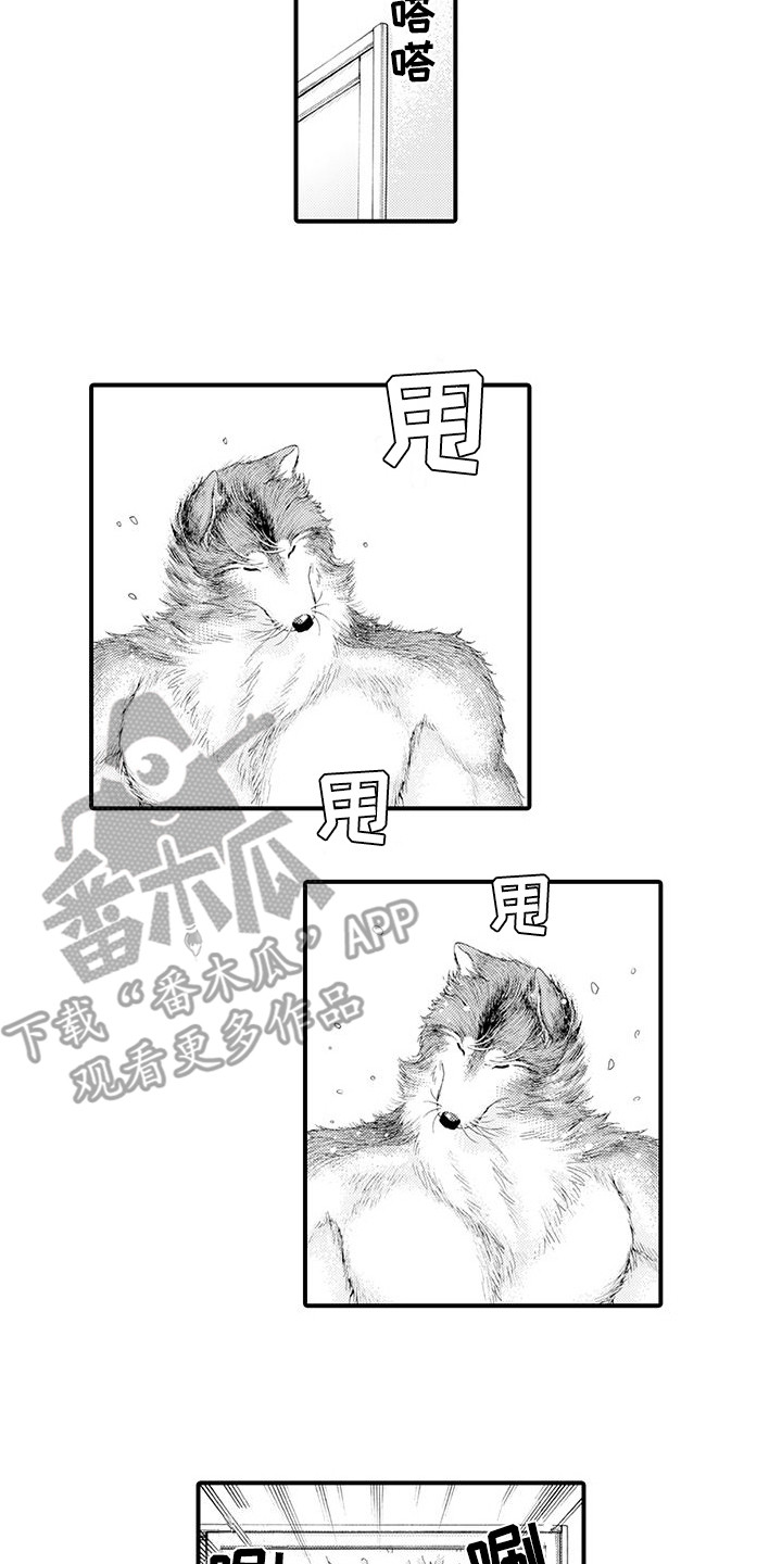 毛绒绒男友漫画,第21章：变得喜欢2图