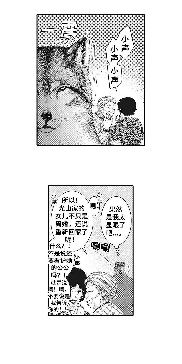 毛绒绒男友漫画,第1章：兽人2图