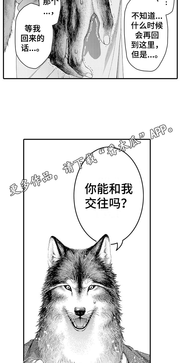 毛绒绒男友漫画,第11章：表白2图