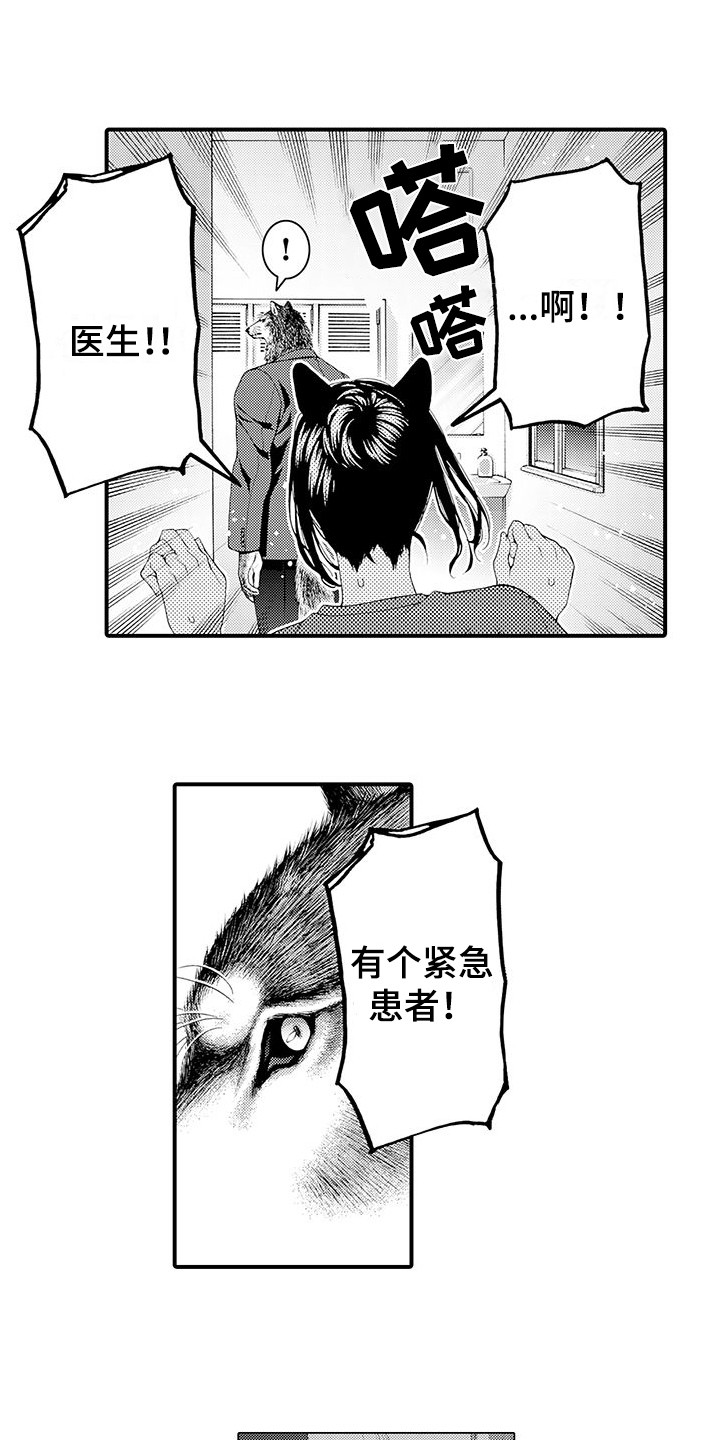 毛绒绒男友漫画,第8章：处理伤口1图
