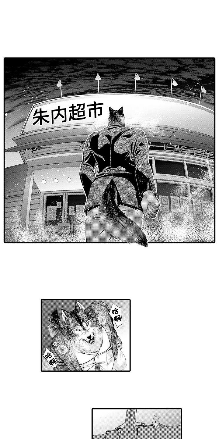 毛绒绒男友漫画,第11章：表白1图
