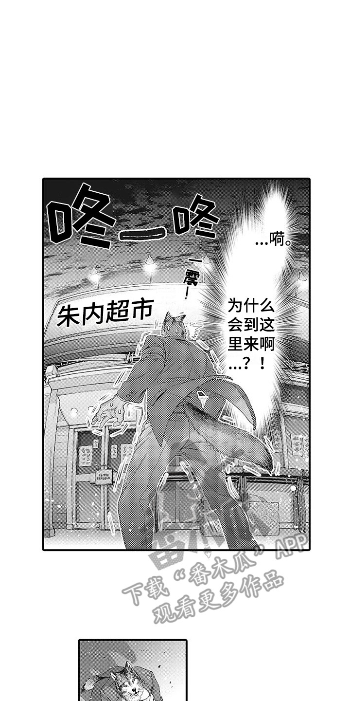 毛绒绒男友漫画,第4章：巧遇2图