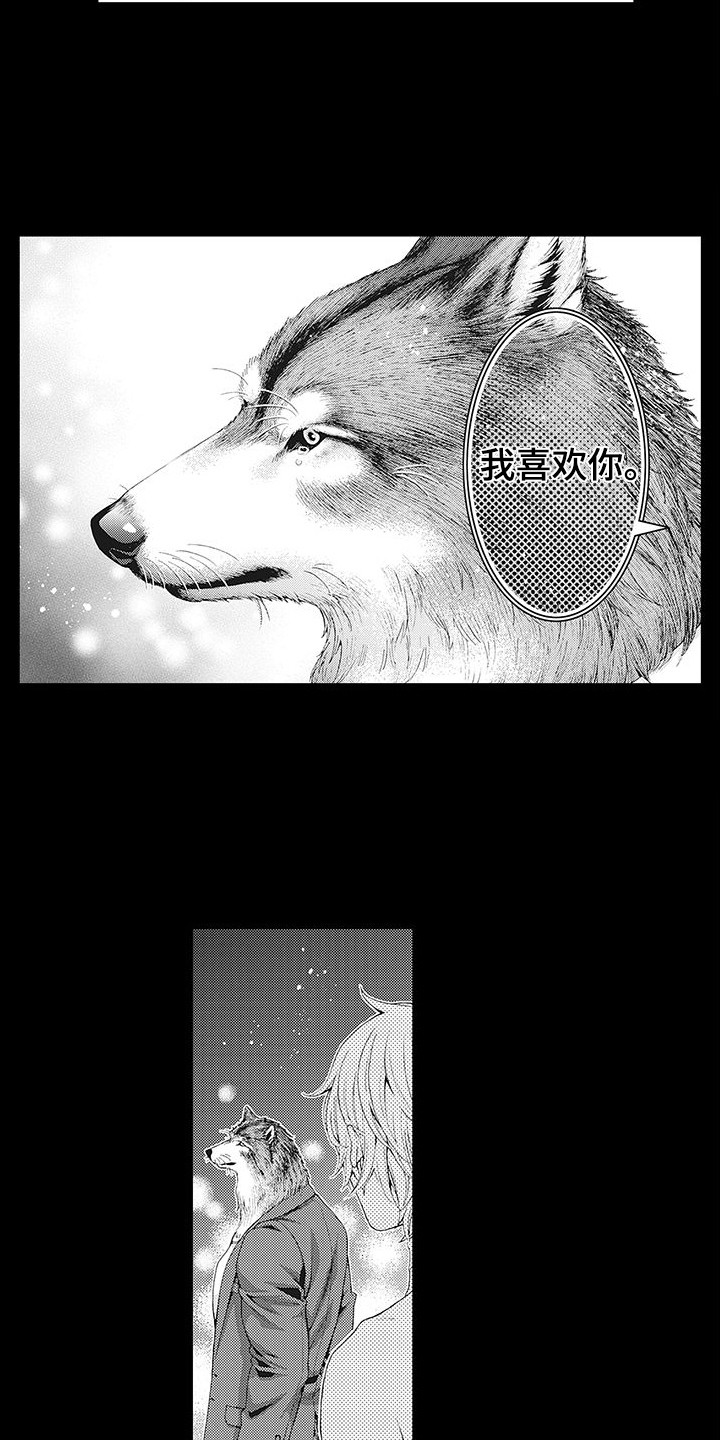 毛绒绒男友漫画,第6章：幻想1图