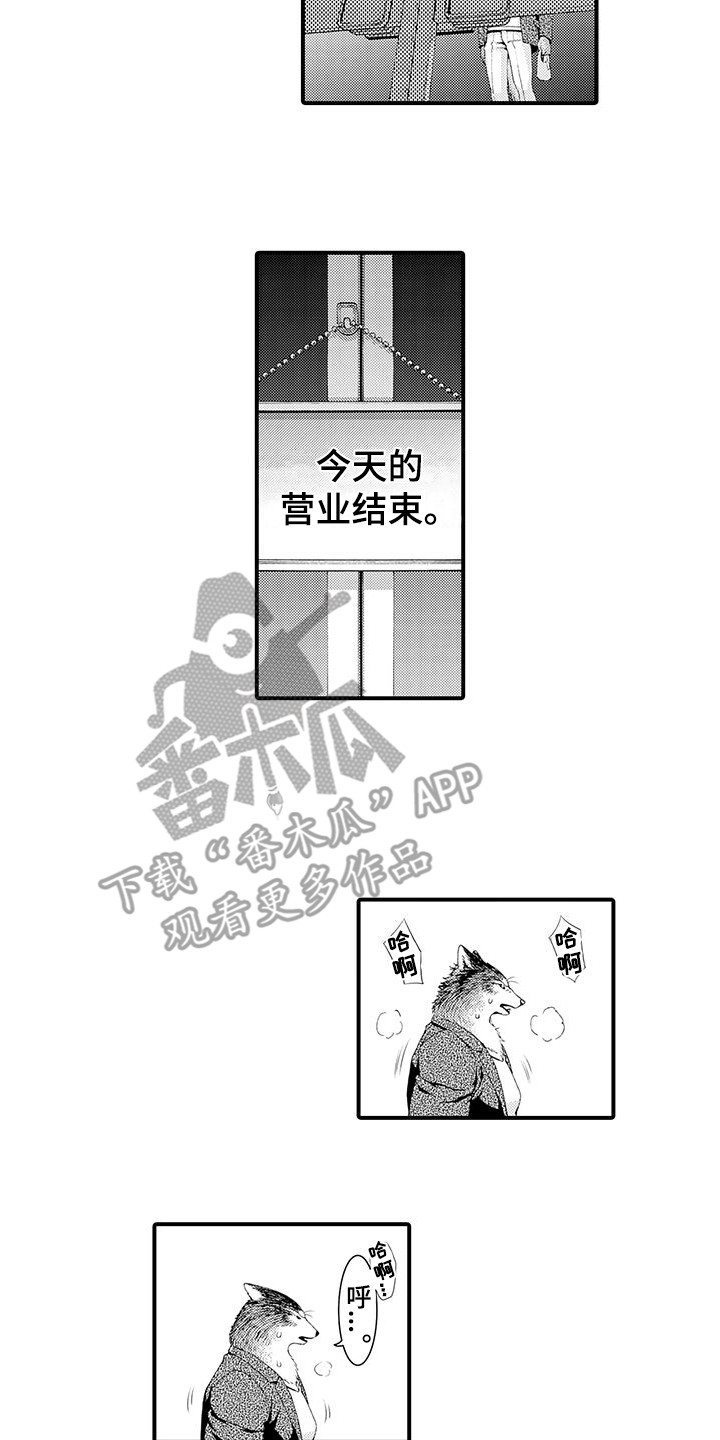 毛绒绒男友漫画,第11章：表白2图