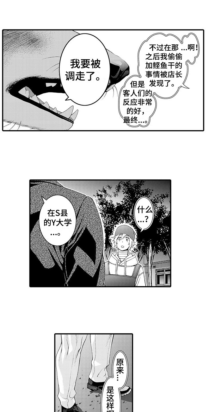 毛绒绒男友漫画,第11章：表白1图