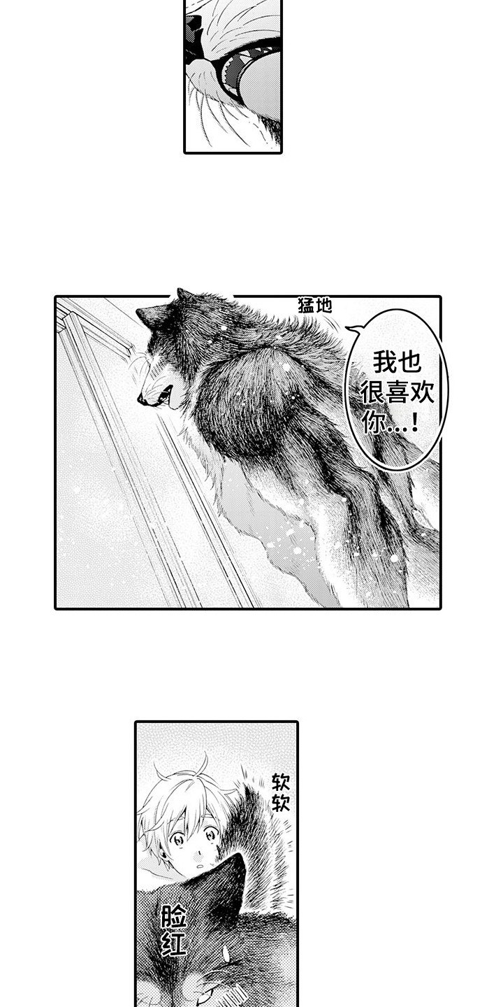 毛绒绒男友漫画,第20章：很温暖1图