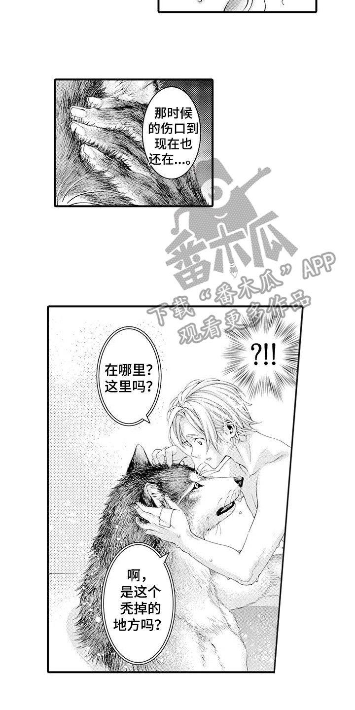 毛绒绒男友漫画,第20章：很温暖2图