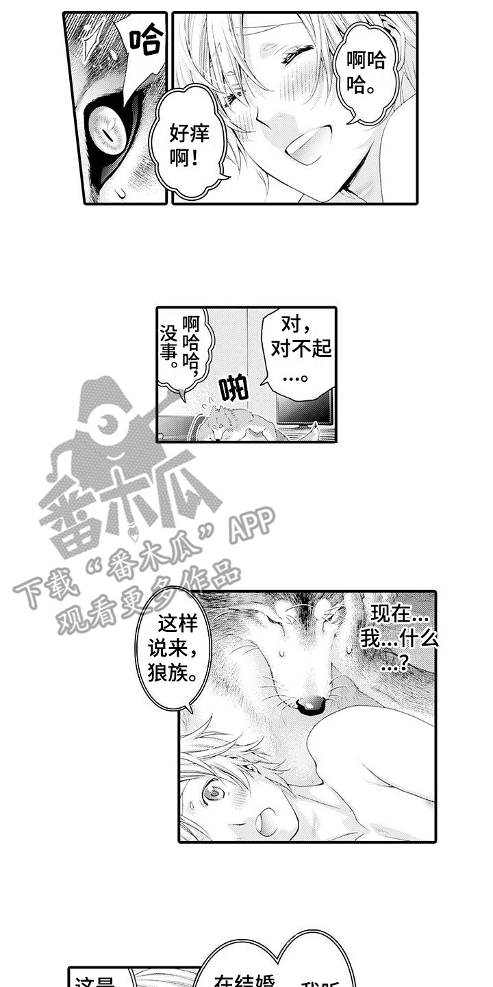 毛绒绒男友漫画,第23章：发痒2图
