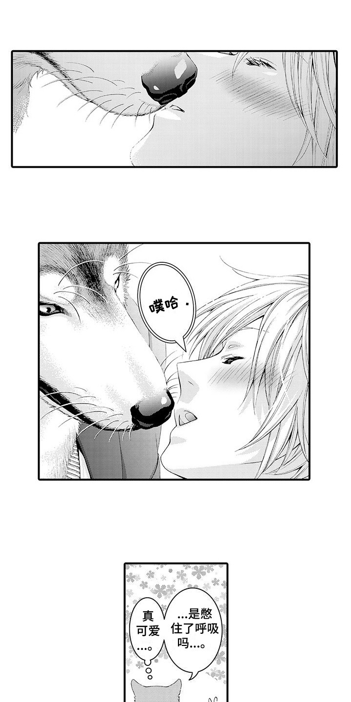 毛绒绒男友漫画,第17章：太诚实了 1图