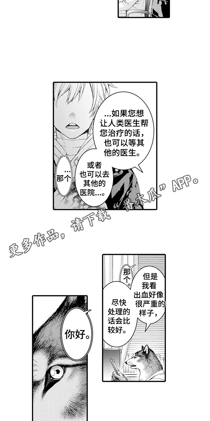 毛绒绒男友漫画,第8章：处理伤口2图