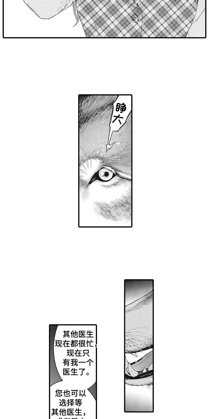 毛绒绒男友漫画,第4章：巧遇1图
