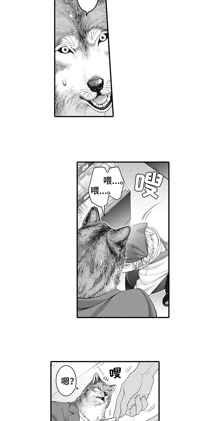 毛绒绒男友漫画,第2章：比比划划1图