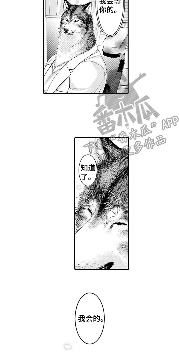 毛绒绒男友漫画,第9章：会等你的2图