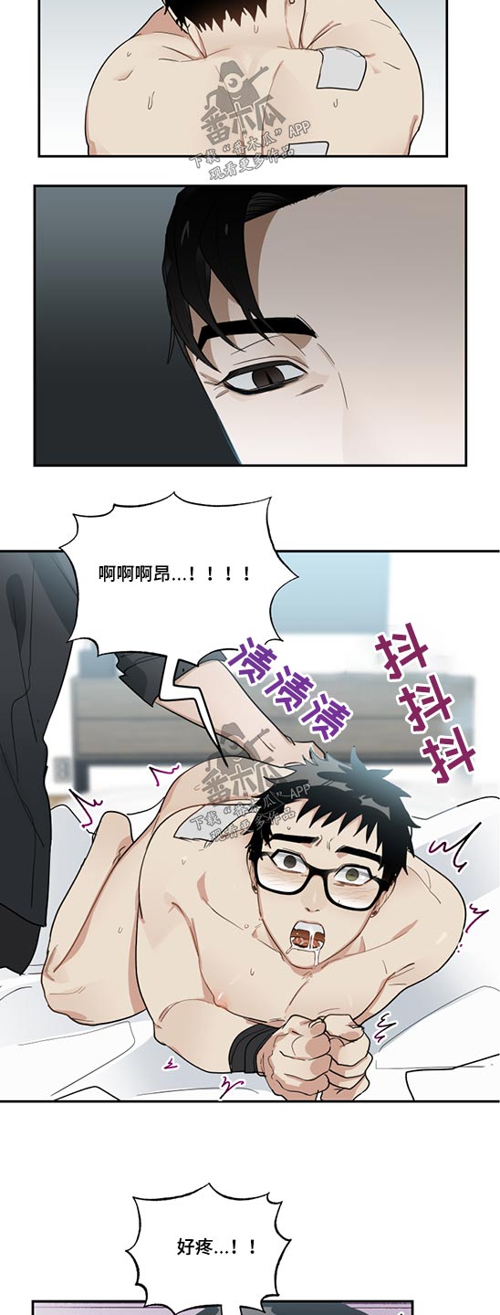 办公室秘书动漫漫画,第18章：驯服1图