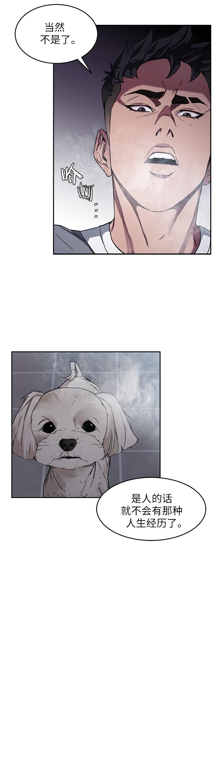 蝙蝠骑士ds17漫画,第9话2图
