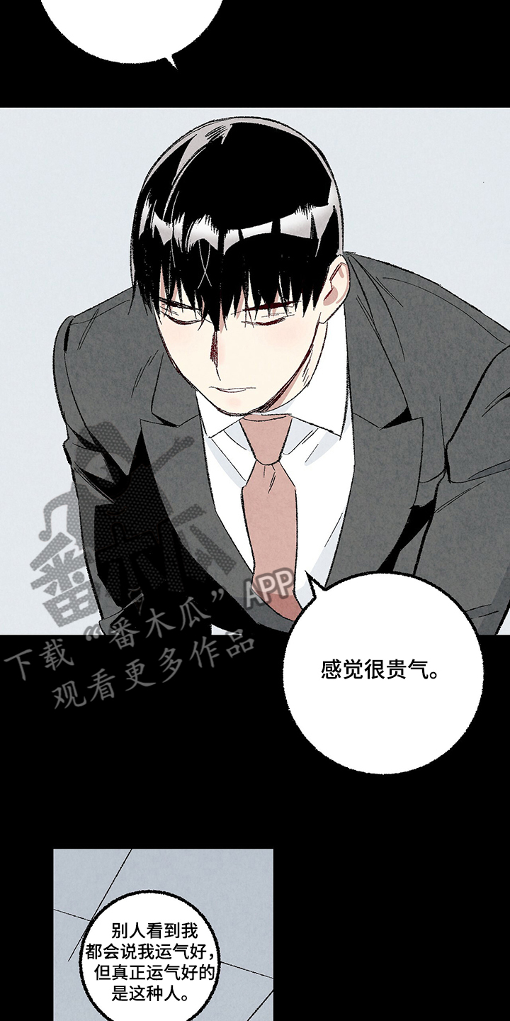 完美伴侣漫画,第81章：【第二季】不一般的病毒1图