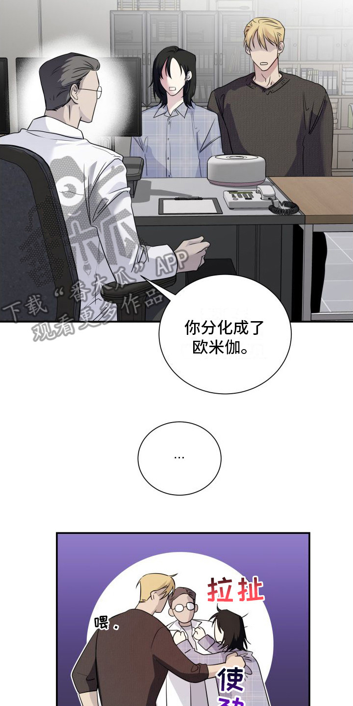 信息素骗局小说简介漫画,第13章：分化欧米伽 2图