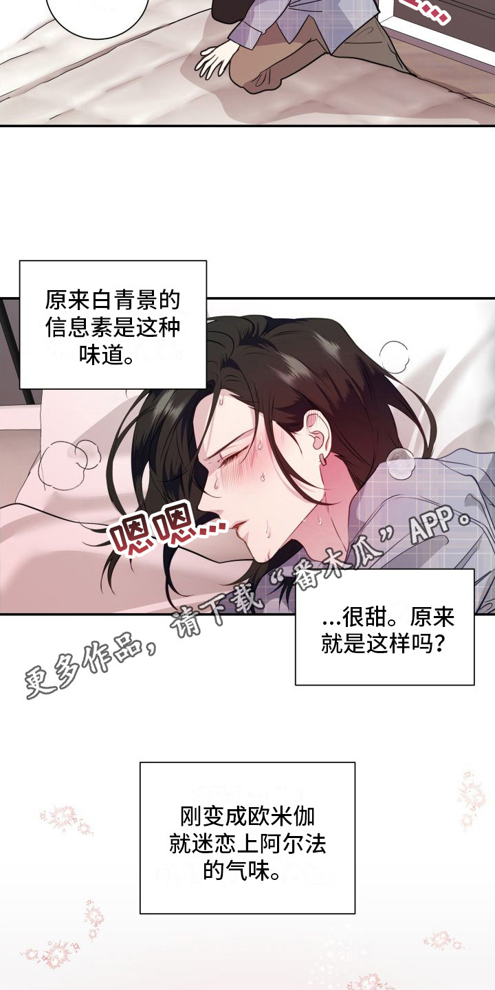 信息素骗局真实案例漫画,第13章：分化欧米伽 1图