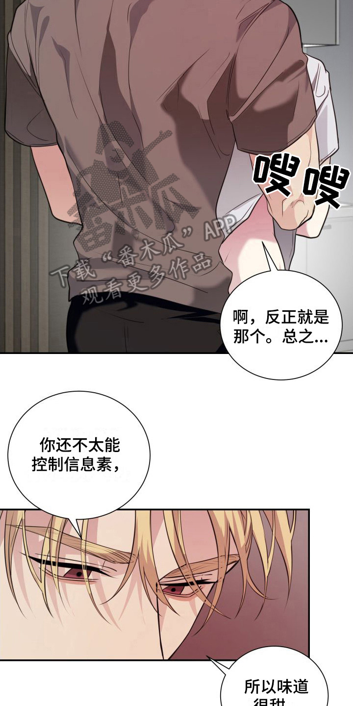 信息素骗局说的是什么内容漫画,第16章：看着办 2图