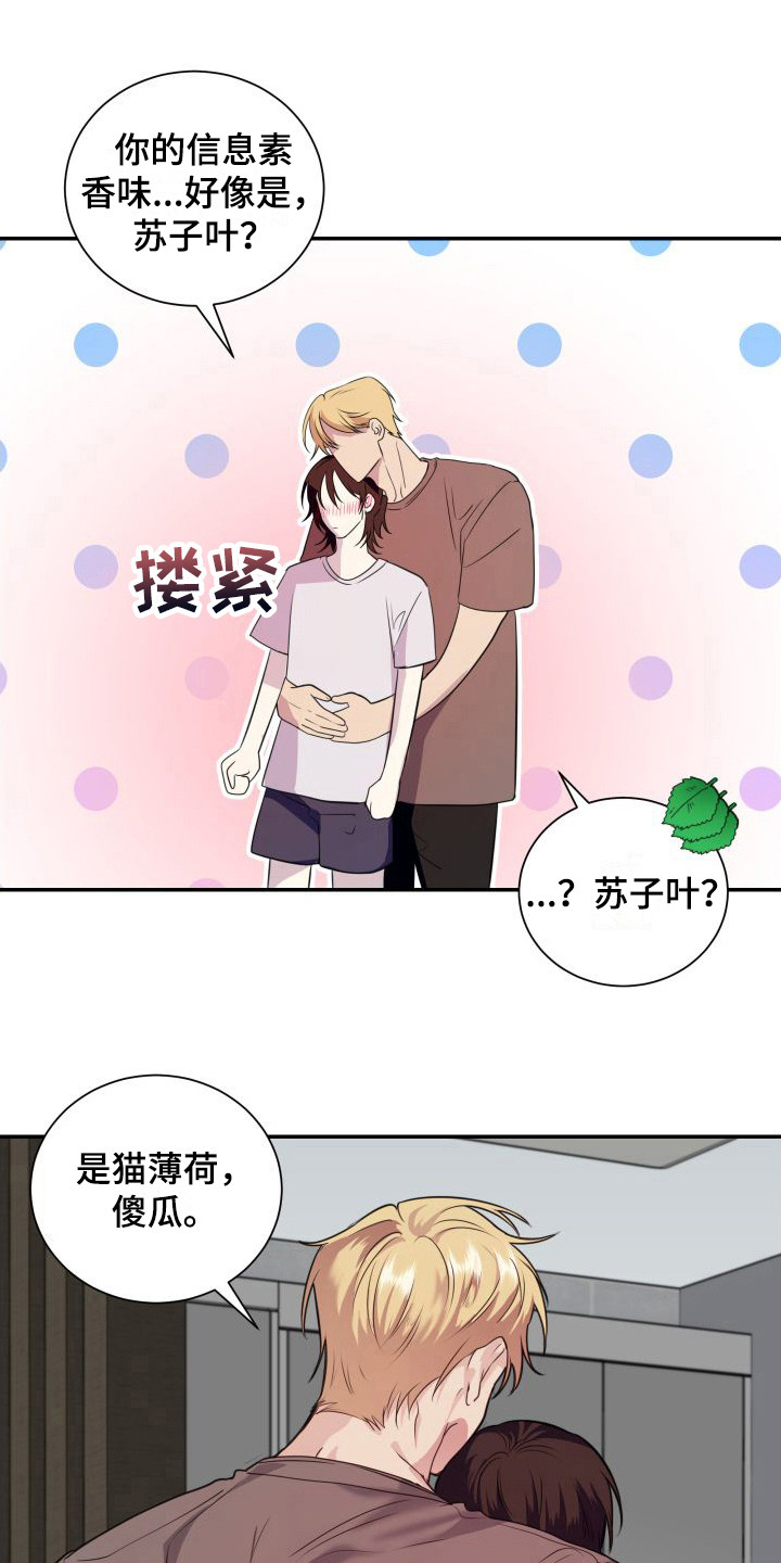 信息素骗局小说简介漫画,第16章：看着办 1图