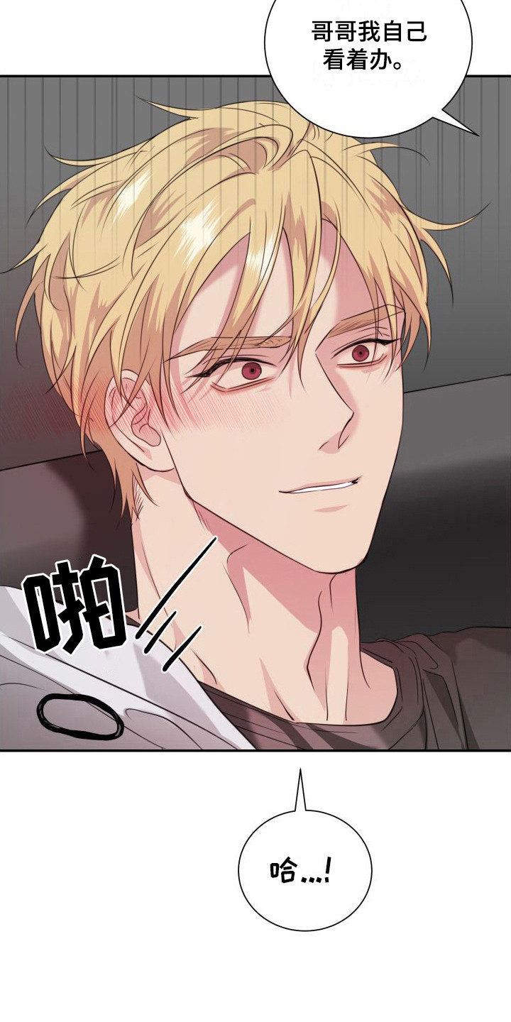 信息素骗局真实案例漫画,第16章：看着办 2图