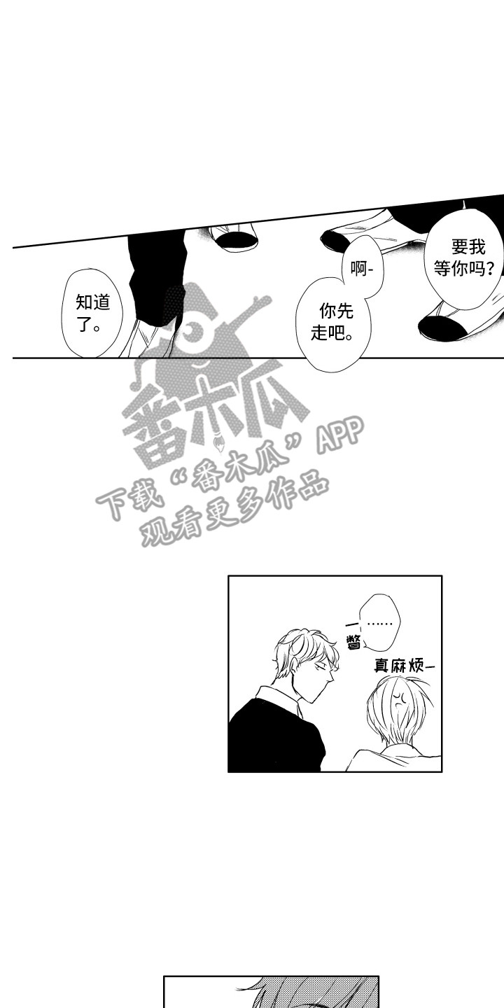 普通猫咪的归宿漫画,第19章：下黑手2图