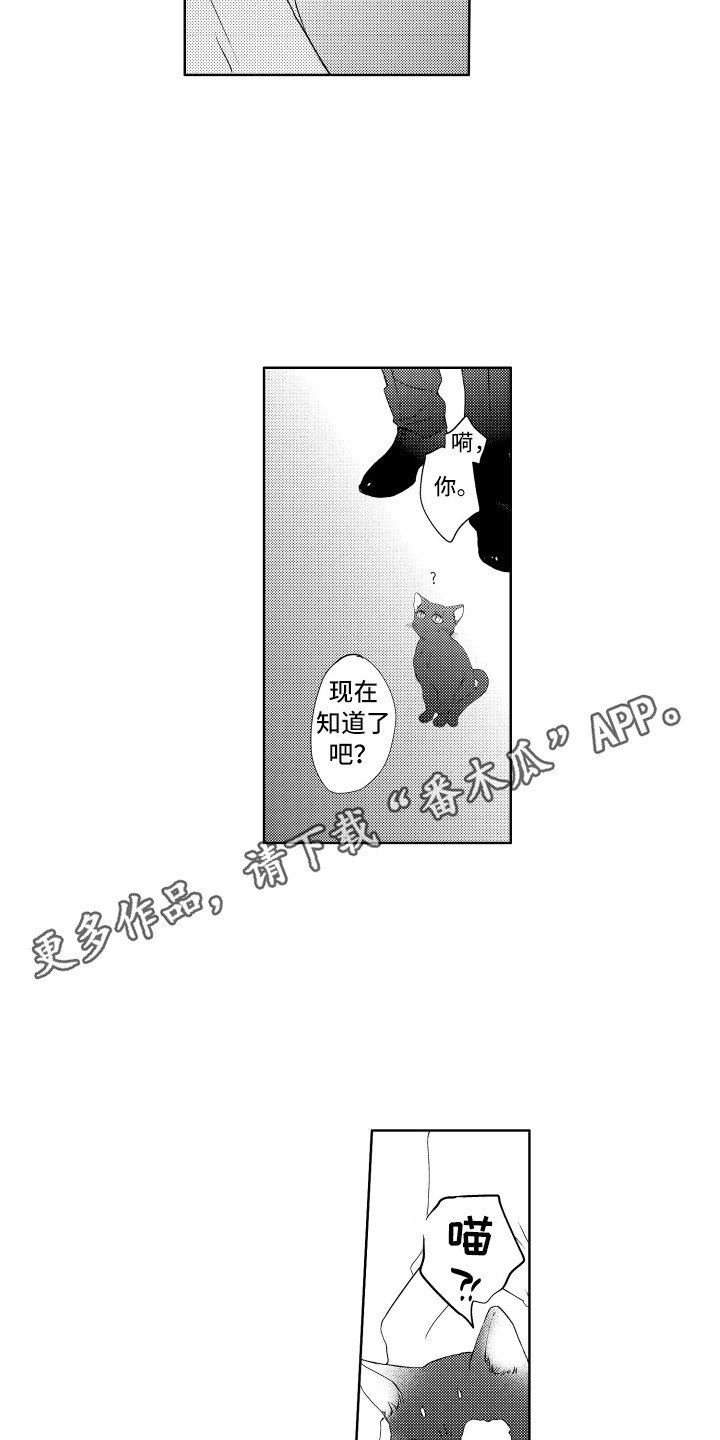 猫的一岁等于人的几岁漫画,第25章：真面目2图