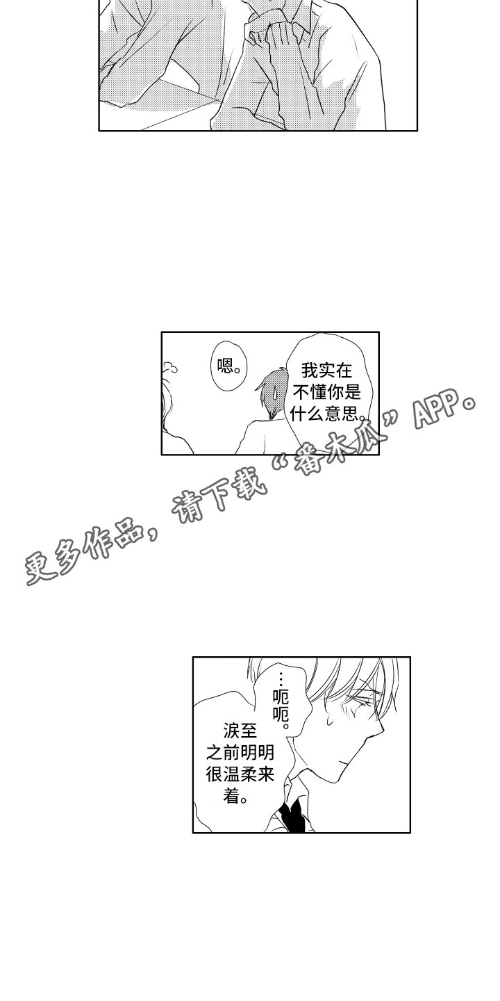 猫的种类漫画,第18章：很亲近1图