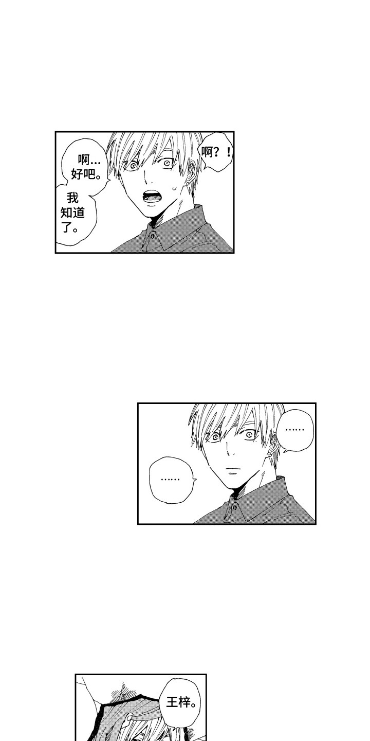 星野小象漫画,第19章：很在意1图