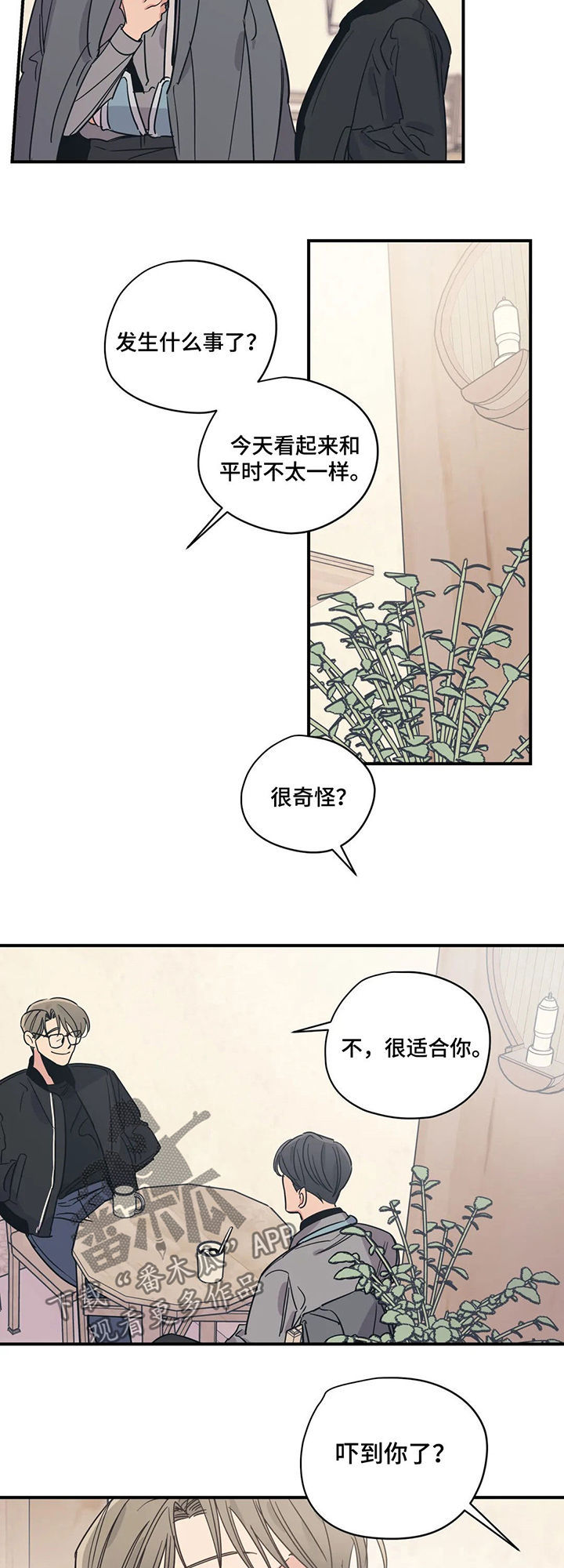 百万浪漫史韩漫图片漫画,第61章：盲目的勇气2图