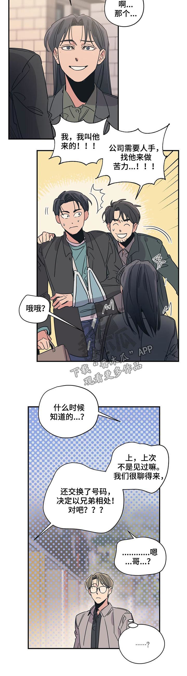 百万美元宝贝漫画,第80章：后知后觉2图