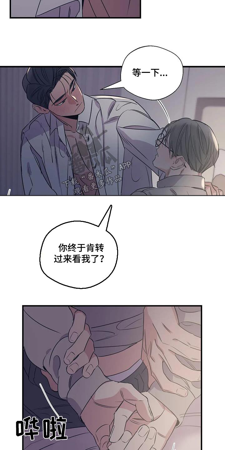 百万美元宝贝漫画,第183章：【外传】虫子2图